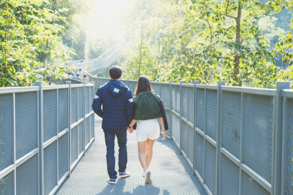 A Blueprint for Lasting Relationship Harmony